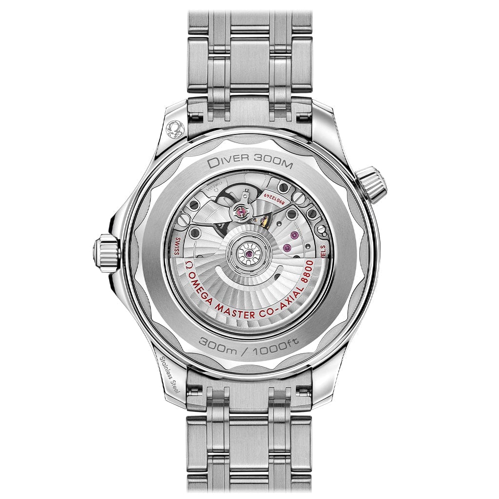 Seamaster Diver